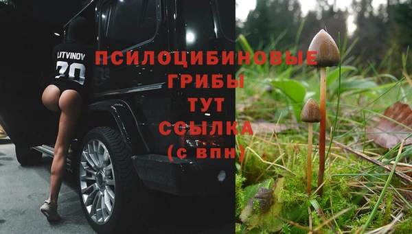 соль ск Абинск
