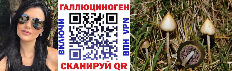 Галлюциногенные грибы мухоморы  Грозный 